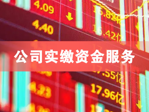 常德公司实缴资金服务