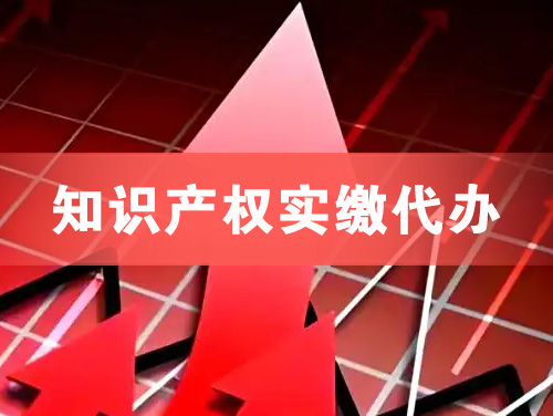 常德知识产权实缴资本代办